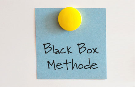 Black Box Methode